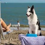 Villa In Albarella With Private Pool & Albarella Island