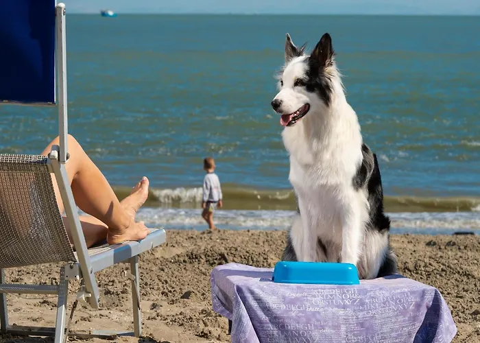 빌라 In Albarella With Private Pool & 이솔라 알바렐라